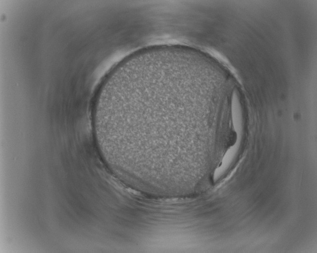 X0000075921167200610151859