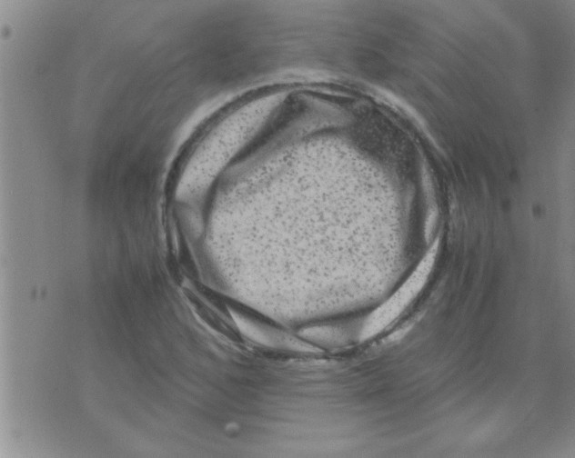 X0000075921168200610151859