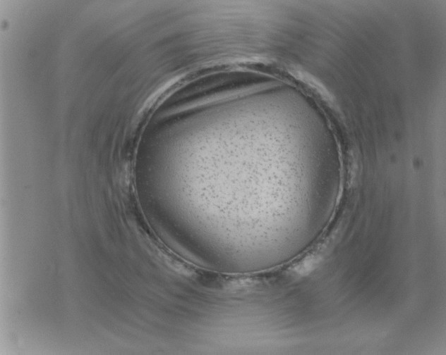 X0000075921169200610151859