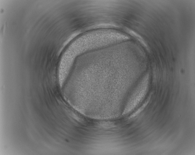 X0000075921170200610151859