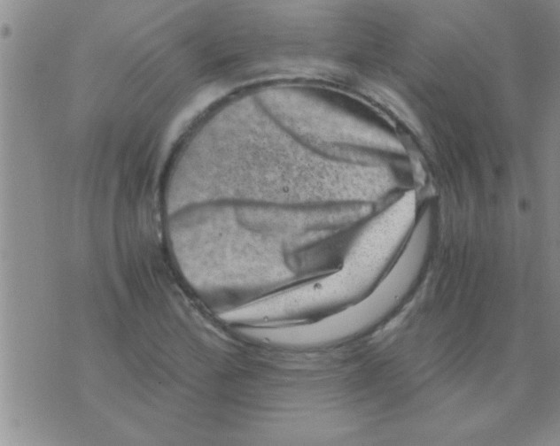 X0000075921172200610151859