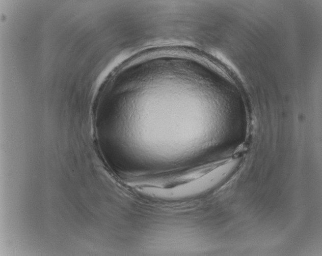 X0000075921173200610151859