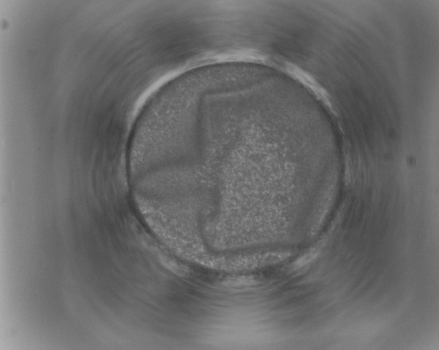 X0000075921174200610151859