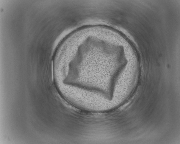 X0000075921175200610151859