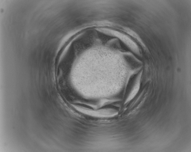 X0000075921176200610151859