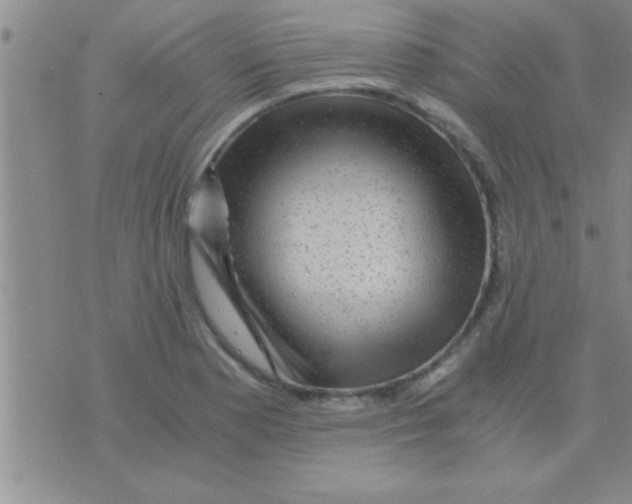 X0000075921177200610151859