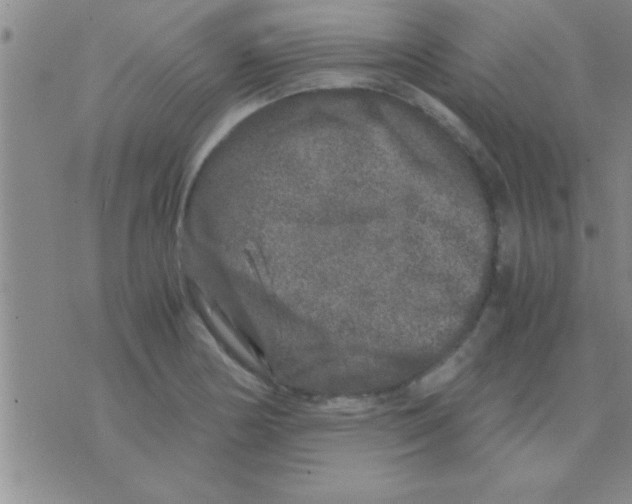 X0000075921178200610151859