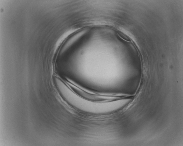 X0000075921179200610151859