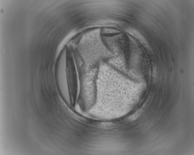 X0000075921180200610151859