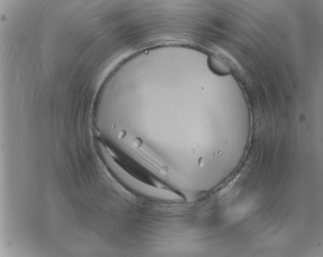 X0000075921182200610151859