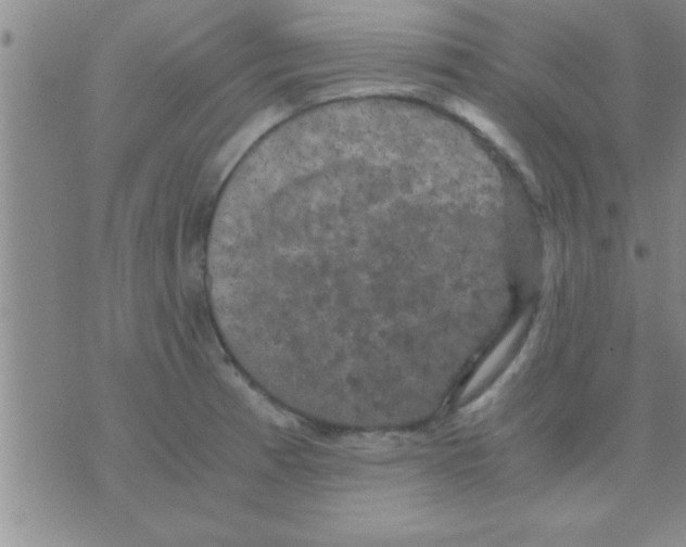 X0000075921185200610151859