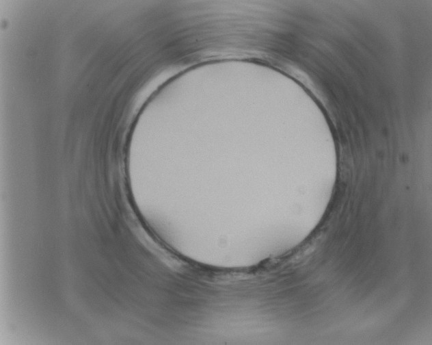 X0000075921187200610151859