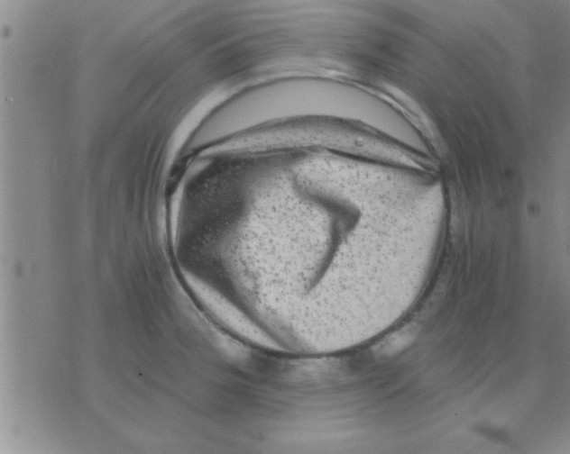 X0000075921188200610151859