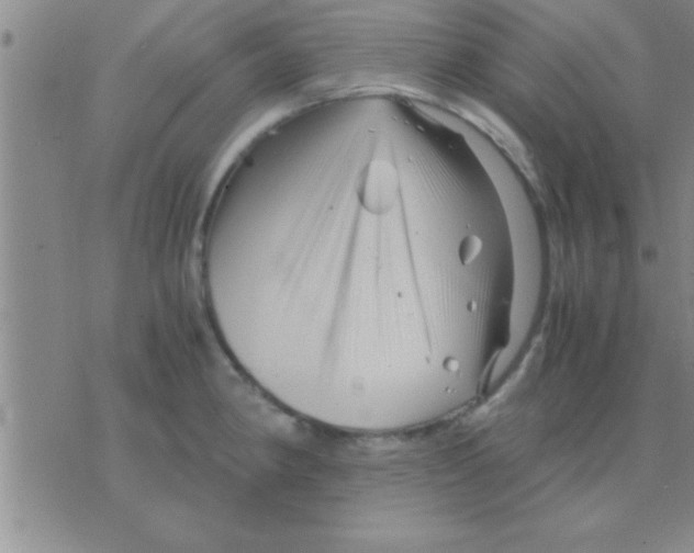 X0000075921190200610151859