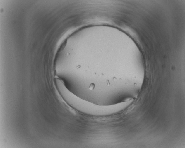 X0000075921191200610151858