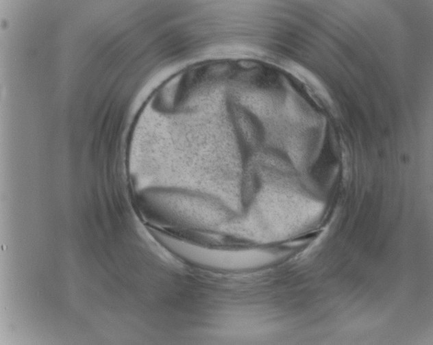 X0000075921192200610151858