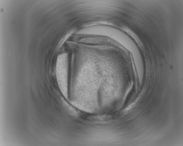 X0000075921193200610151858