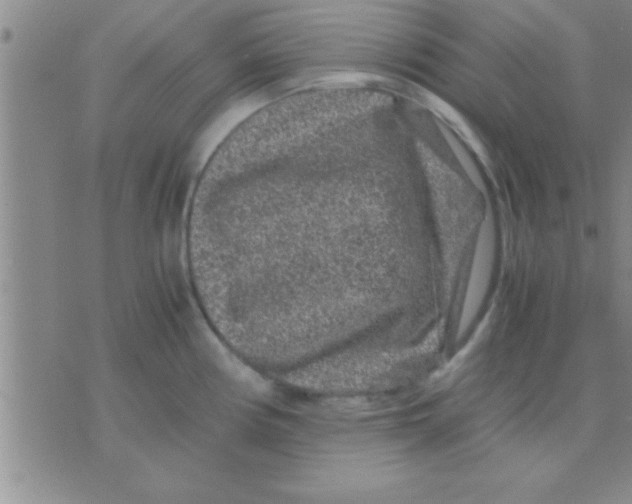 X0000075921194200610151858