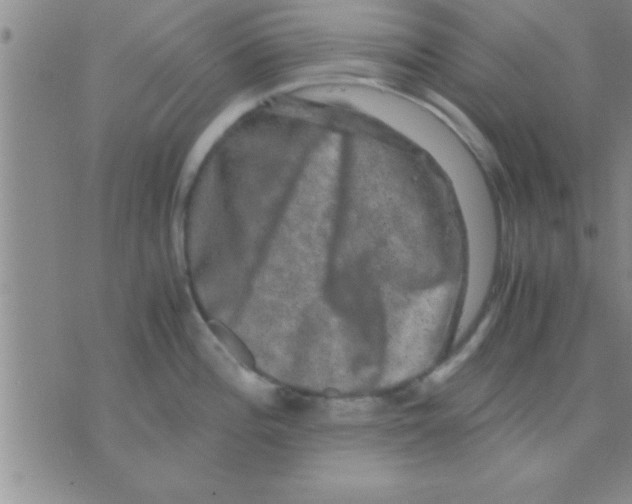 X0000075921196200610151858