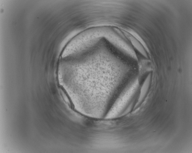 X0000075921197200610151858