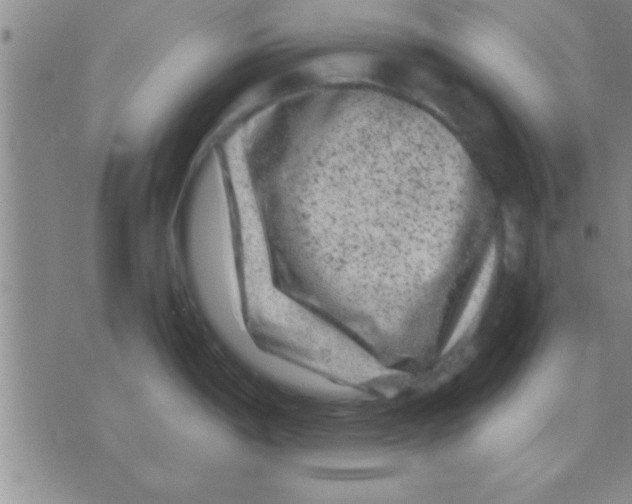 X0000075921198200610151858