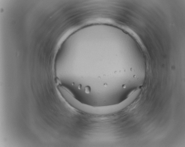 X0000075921199200610151858