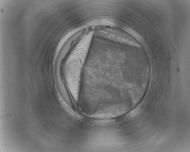 X0000075921200200610151858