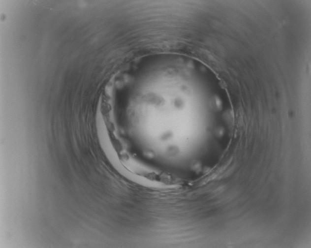 X0000075921202200610151858