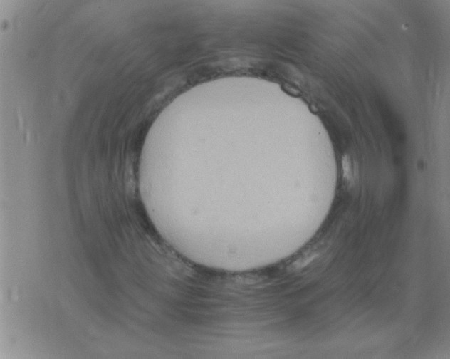 X0000075921203200610151858