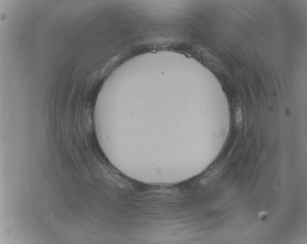 X0000075921204200610151858