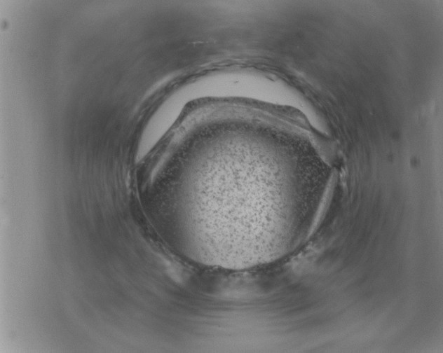 X0000075921206200610151858