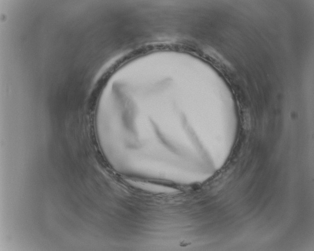 X0000075921208200610151858