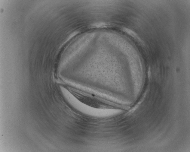 X0000075921209200610151858