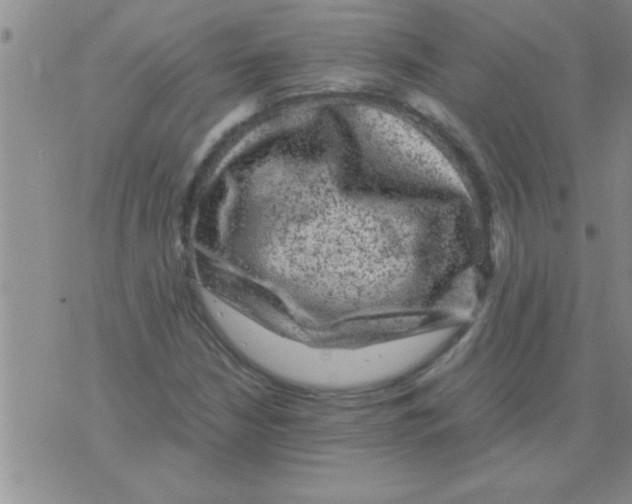 X0000075921210200610151858