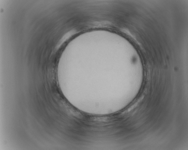 X0000075921211200610151858