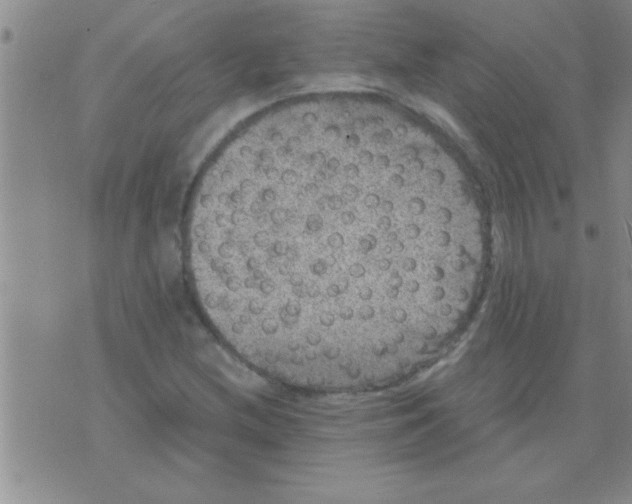 X0000075921212200610151858