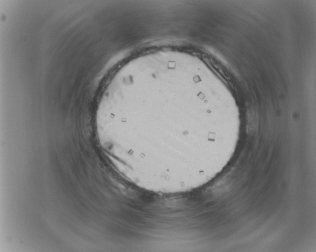 X0000075921213200610151858