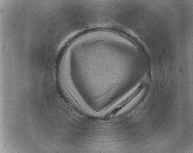 X0000075921214200610151858