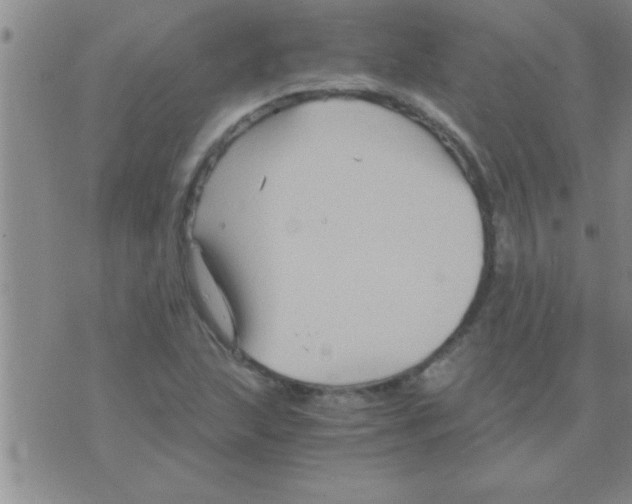 X0000075921215200610151858