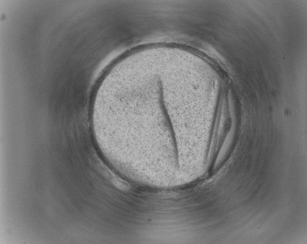 X0000075921216200610151858