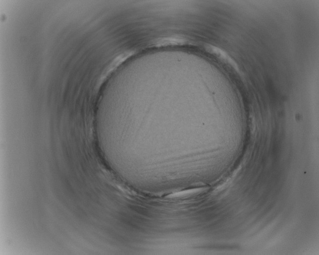 X0000075921217200610151858