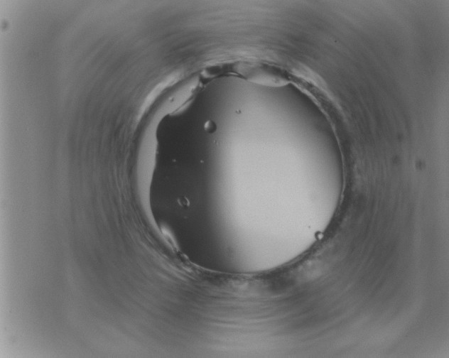 X0000075921218200610151858