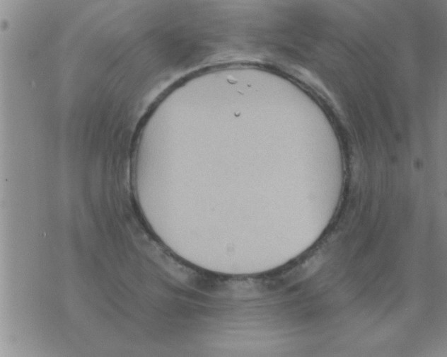 X0000075921220200610151858