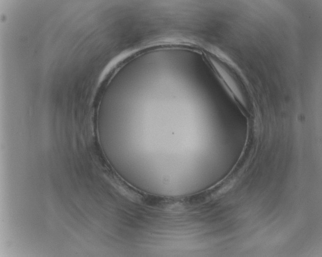 X0000075921222200610151858