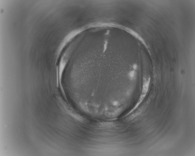 X0000075921223200610151858