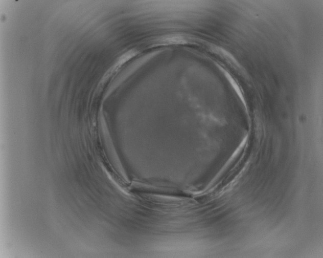 X0000075921225200610151858