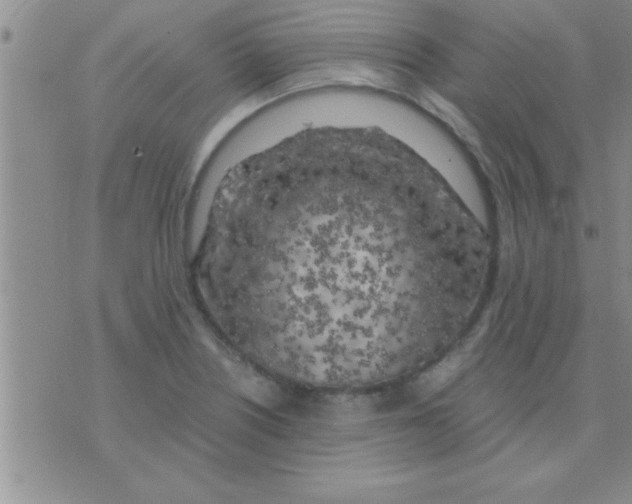 X0000075921226200610151858