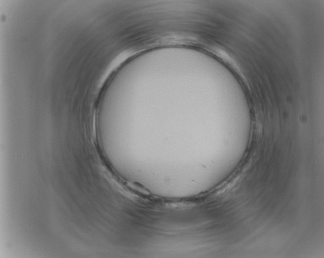 X0000075921227200610151858