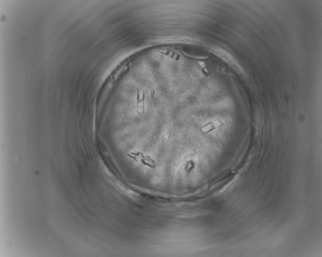 X0000075921228200610151858