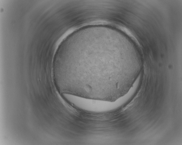 X0000075921229200610151858